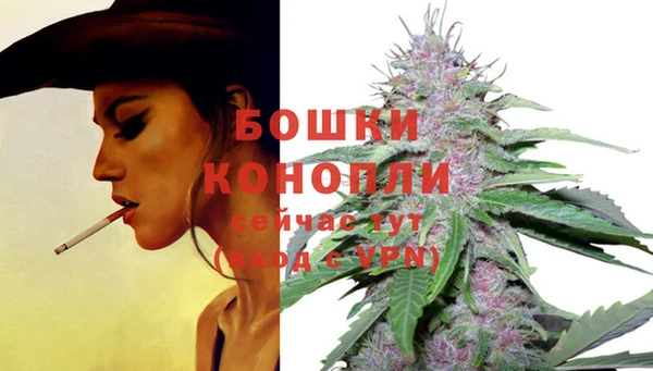 прущие крисы Белоозёрский
