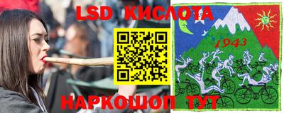 стафф Кандалакша