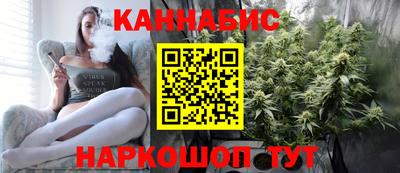стафф Кандалакша