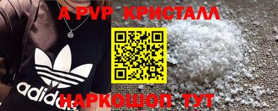 стафф Кандалакша