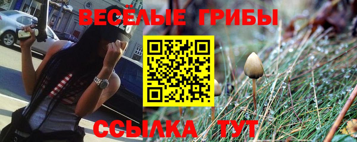 Галлюциногенные грибы Cubensis  Псилоцибиновые грибы мицелий  Минеральные Воды  Вход с VPN 